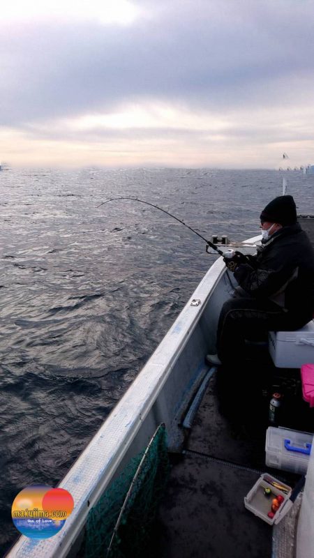 幕島丸 釣果