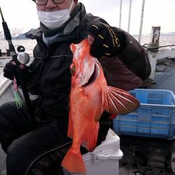 幕島丸 釣果