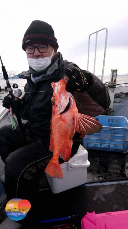 幕島丸 釣果