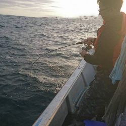幕島丸 釣果