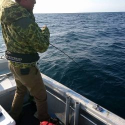 幕島丸 釣果