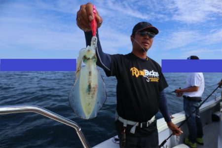 エル・クルーズ 釣果
