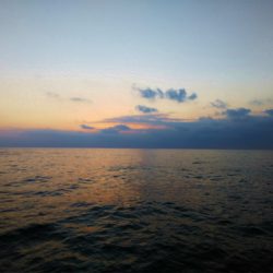 エル・クルーズ 釣果