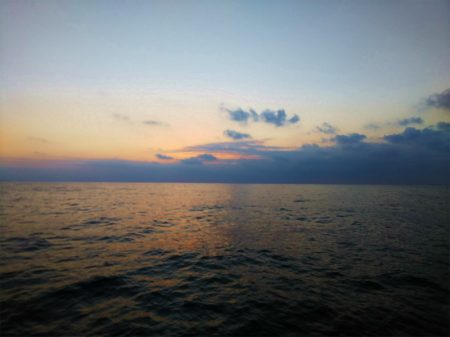 エル・クルーズ 釣果