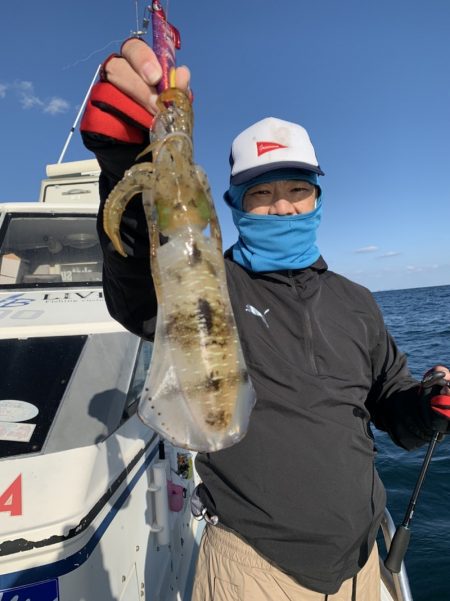 きずなまりん 釣果