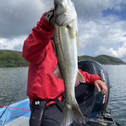 アマテラス 釣果