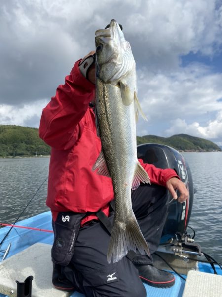 アマテラス 釣果