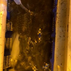 海龍丸（石川） 釣果