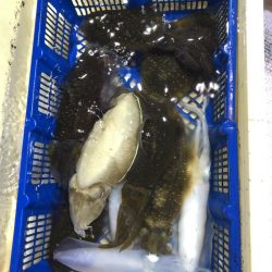 海龍丸（石川） 釣果