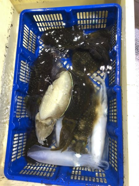 海龍丸（石川） 釣果