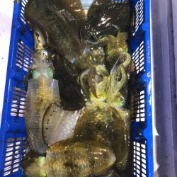 海龍丸（石川） 釣果