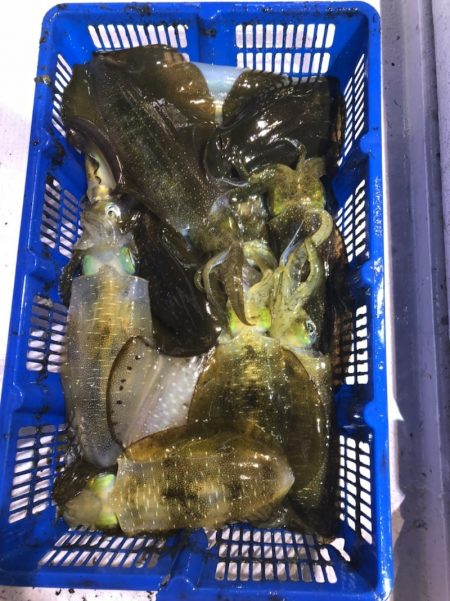 海龍丸（石川） 釣果