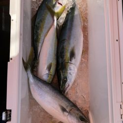 海龍丸(石川) 釣果