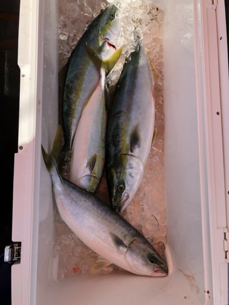 海龍丸(石川) 釣果