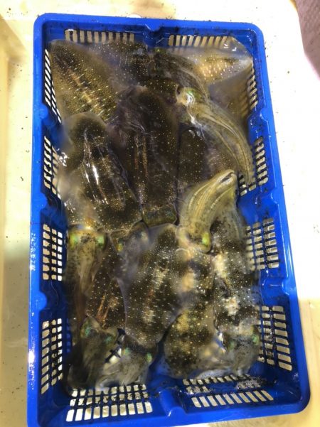 海龍丸（石川） 釣果