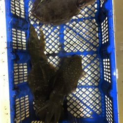 海龍丸（石川） 釣果