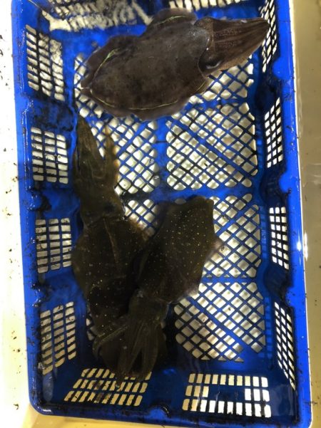 海龍丸（石川） 釣果