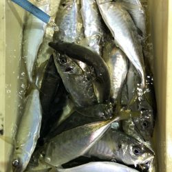 海龍丸（石川） 釣果