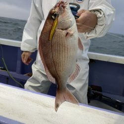 新幸丸 釣果