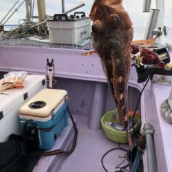 海龍丸(石川) 釣果