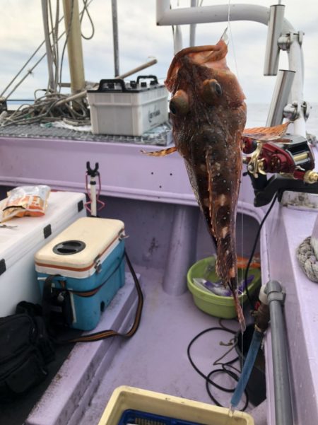 海龍丸(石川) 釣果
