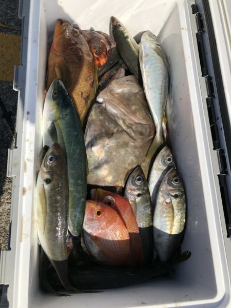 海龍丸(石川) 釣果