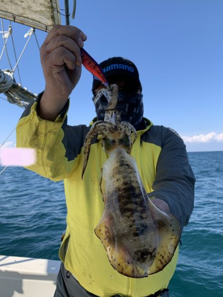 きずなまりん 釣果