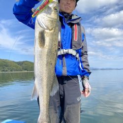 アマテラス 釣果