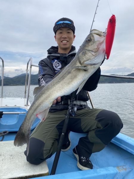 アマテラス 釣果