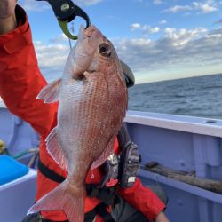 新幸丸 釣果