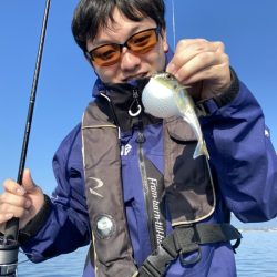 アマテラス 釣果