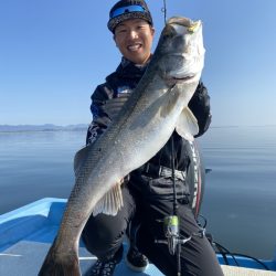 アマテラス 釣果