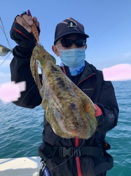 きずなまりん 釣果