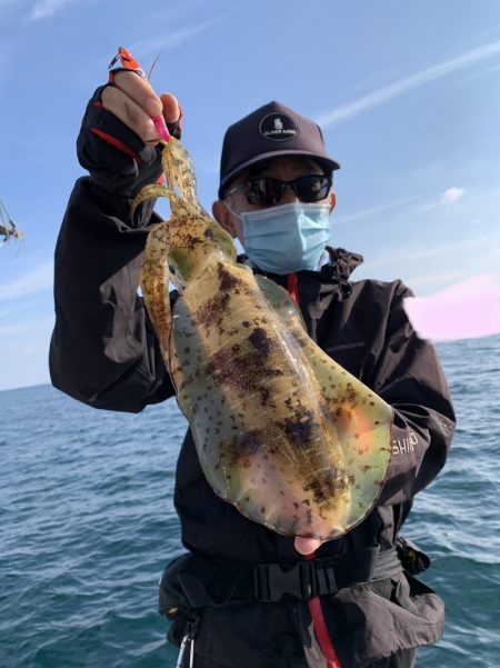 きずなまりん 釣果