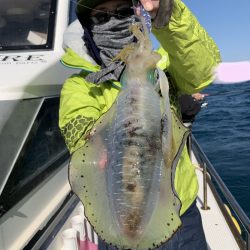 きずなまりん 釣果