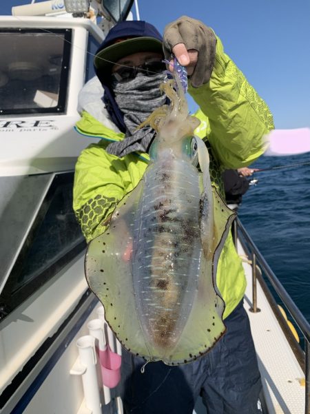 きずなまりん 釣果