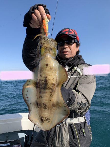 きずなまりん 釣果