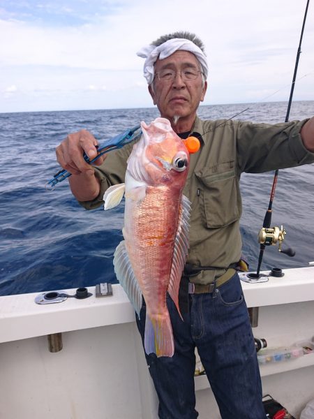 ARCADIAⅡ (アルカディアⅡ) 釣果