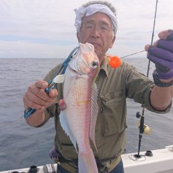 ARCADIAⅡ (アルカディアⅡ) 釣果