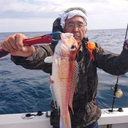 ARCADIAⅡ (アルカディアⅡ) 釣果