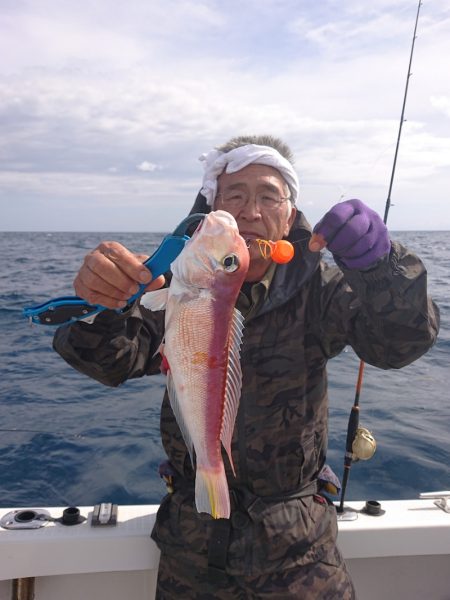 ARCADIAⅡ (アルカディアⅡ) 釣果