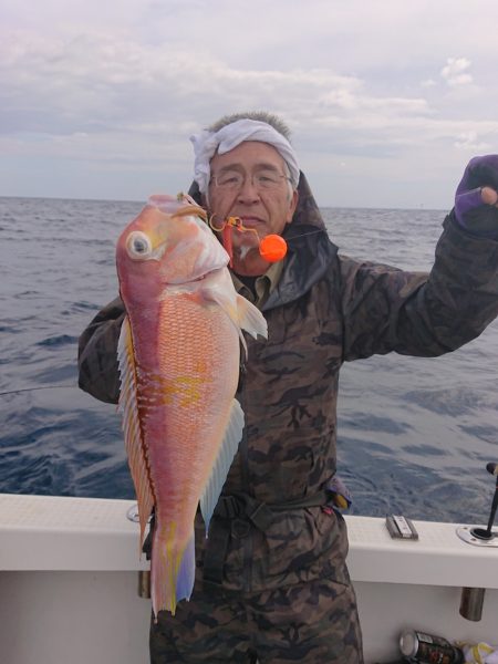 ARCADIAⅡ (アルカディアⅡ) 釣果