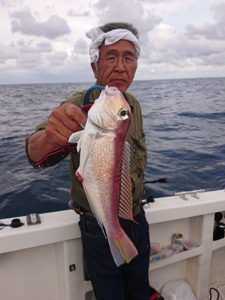 ARCADIAⅡ (アルカディアⅡ) 釣果