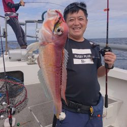 ARCADIAⅡ (アルカディアⅡ) 釣果