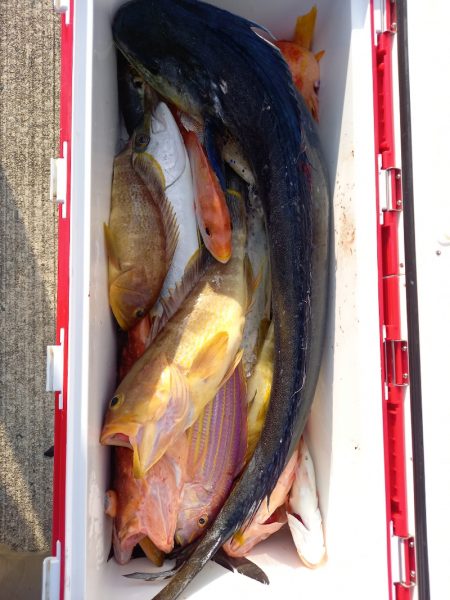 第二龍勢丸 釣果