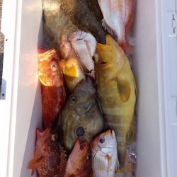 第二龍勢丸 釣果