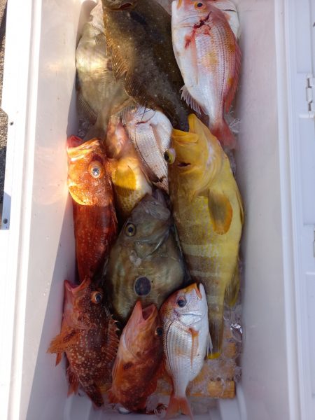 第二龍勢丸 釣果