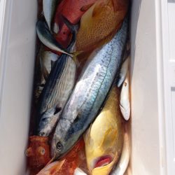 第二龍勢丸 釣果