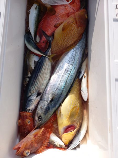 第二龍勢丸 釣果