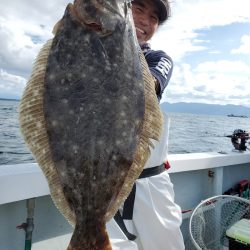 シーライオン 釣果